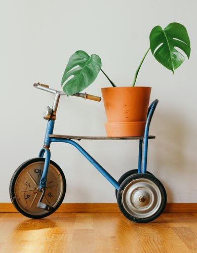 Anxiety Therapist | Collegeville Therapist | coeo Therapy