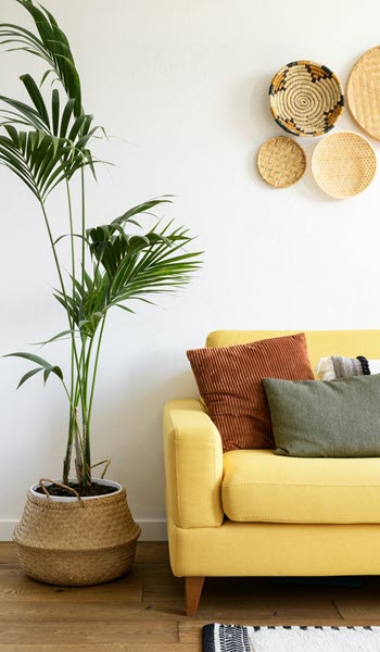 Individual Therapy coeo