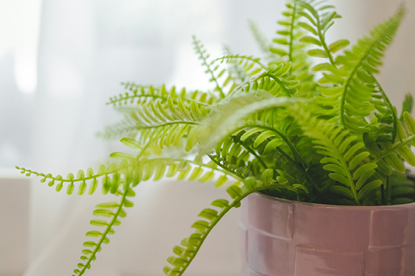 Therapy Intensives Collegeville | coeo