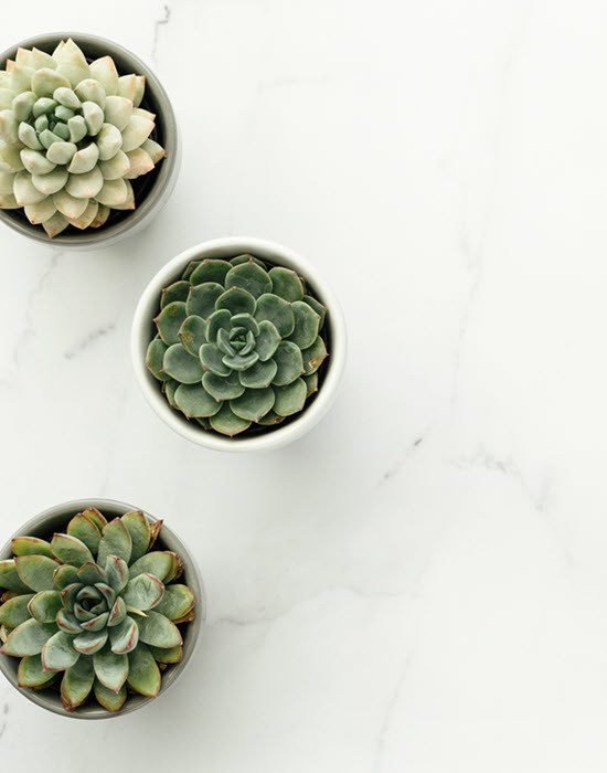 Therapy Intensives Therapy Collegeville PA | coeo Therapy