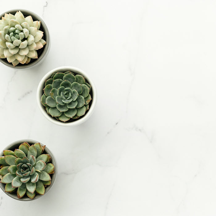 Therapy Intensives Therapy Collegeville PA | coeo Therapy