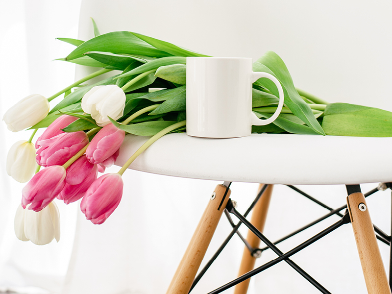 Therapy for Young Adults | coeo Therapy | Collegeville PA