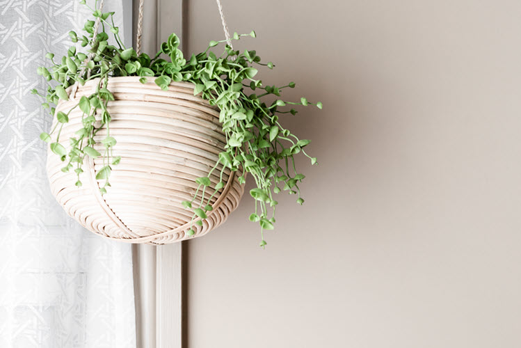 Cognitive Behavioral Therapy for Anxiety | Collegeville Therapist | coeo Therapy