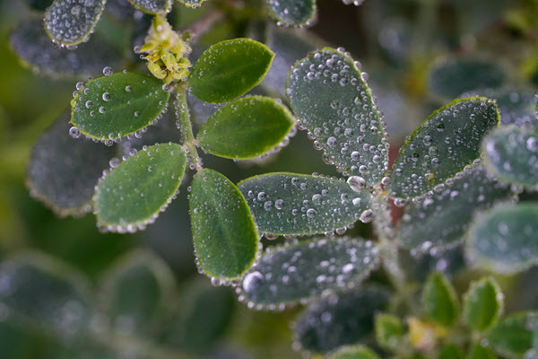 Complex Trauma Therapy | coeo Therapy | Collegeville PA