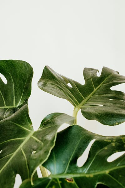 Mental Health Therapy | coeo Therapy | Collegeville PA