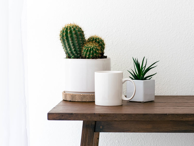 Private Pay Therapist | coeo Therapy | Collegeville PA