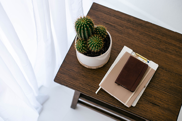 Virtual Therapy | coeo Therapy